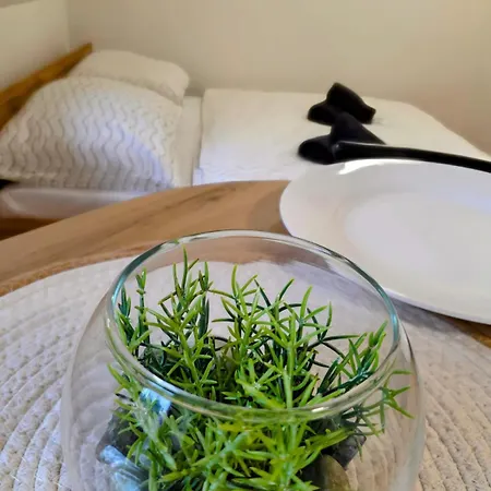 Apartmany Zdiar Lägenhet Ždiar